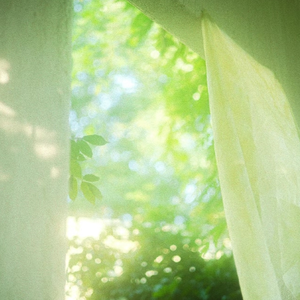 国产ktv做爱高潮视频
