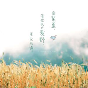 国产ktv做爱高潮视频
